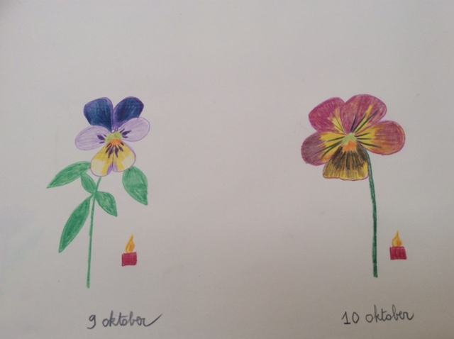 bloem